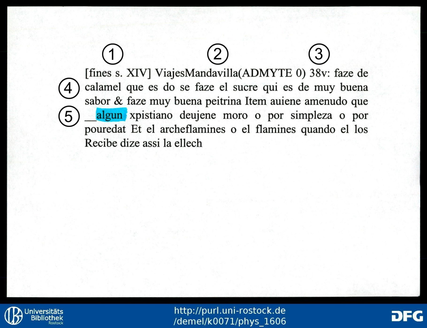Ficha con documentación primaria de la base de datos del DEM