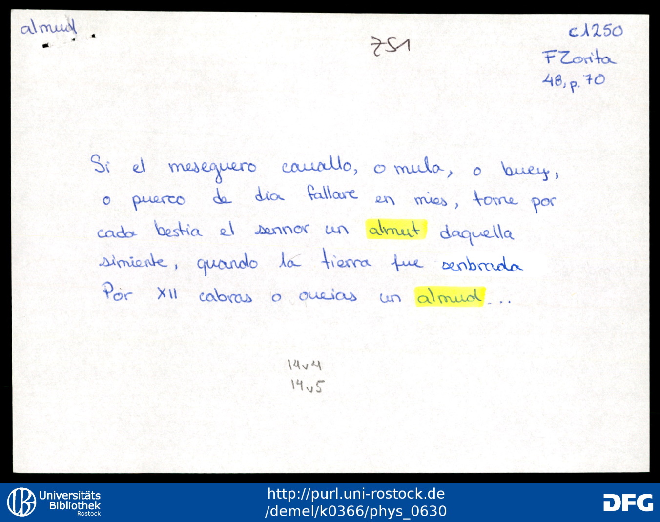 Ficha de documentación con varias formas documentadas 2